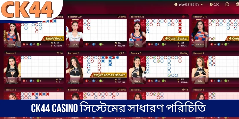 CK44 Casino সিস্টেমের সাধারণ পরিচিতি